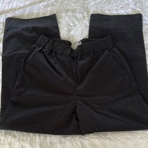 Everlane Black Cropped Ankle Pants